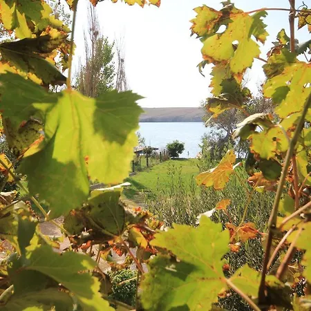By The Sea Dinjiska, Pag - 9386 Apartman