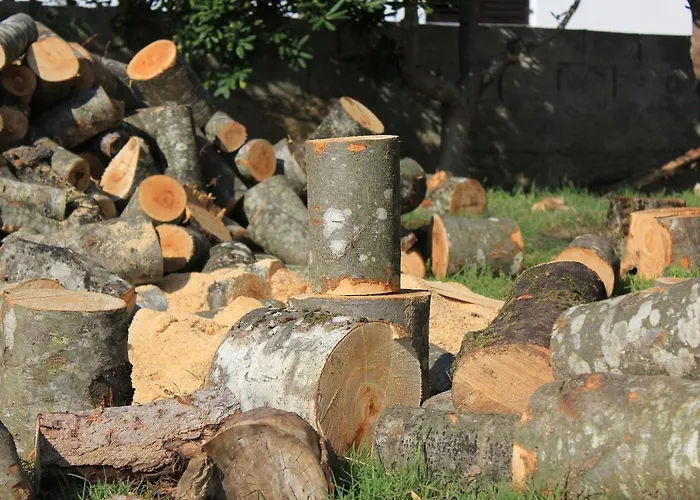 By The Sea Dinjiska, Pag - 9386 Апартаменты Повляна